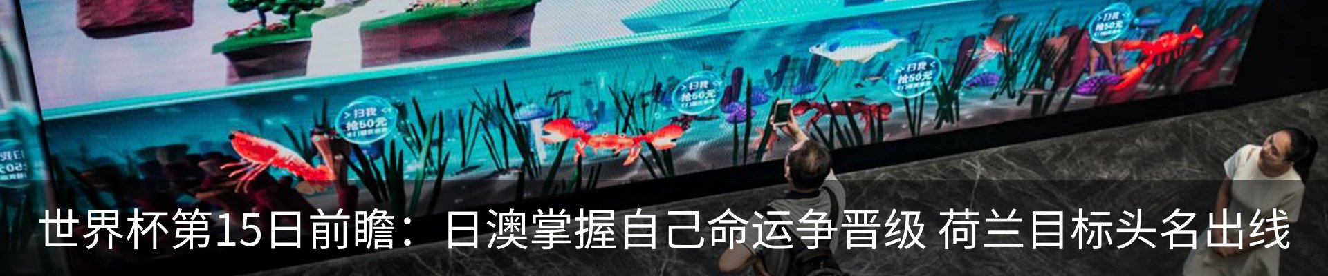 新闻动态