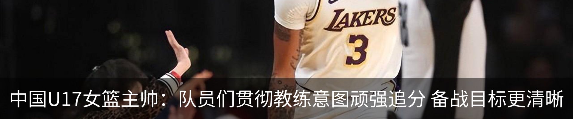 新闻动态