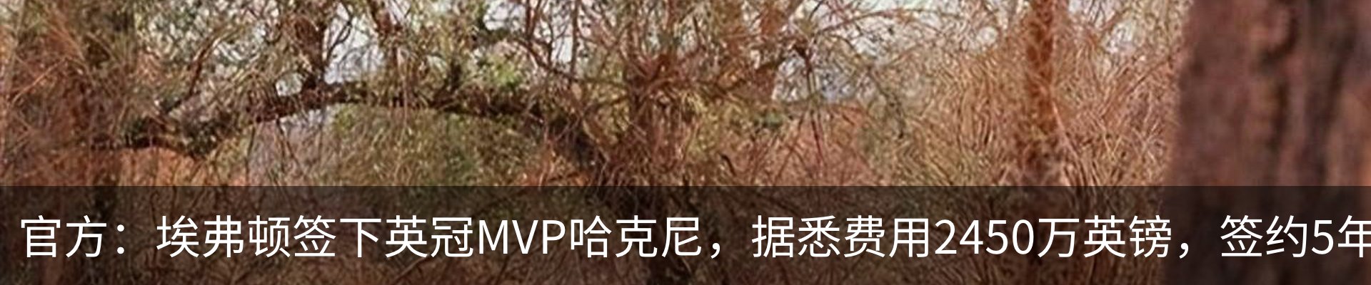 新闻动态