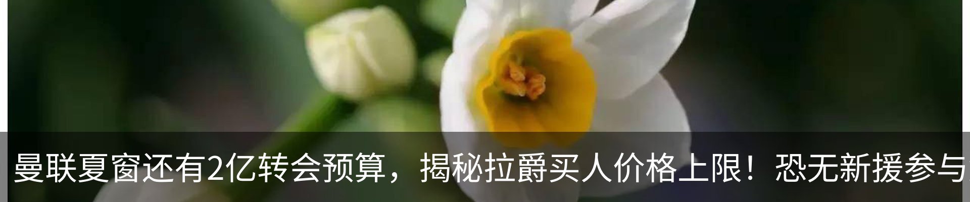 新闻动态