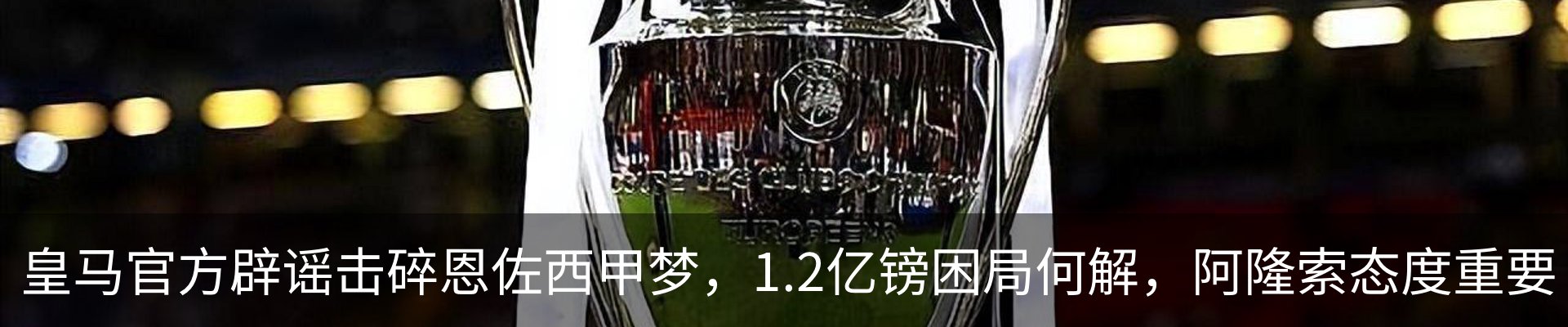 新闻动态
