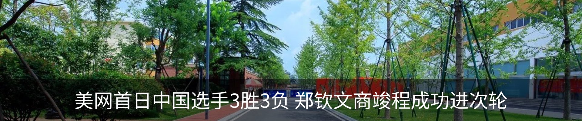 新闻动态