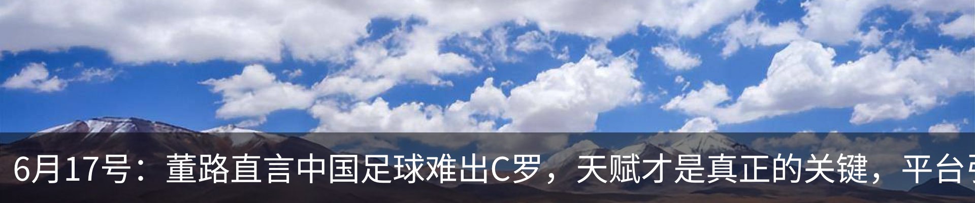 新闻动态