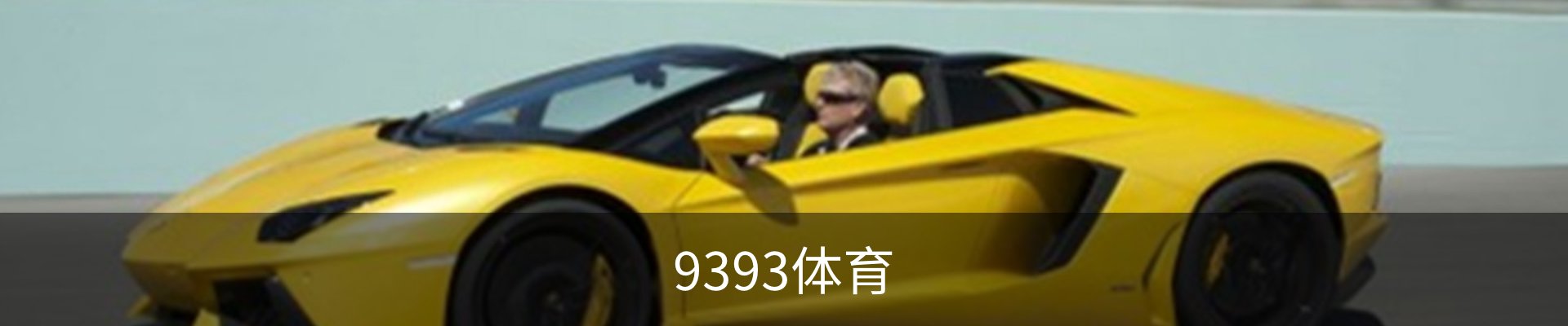 9393体育-专业体育投注平台