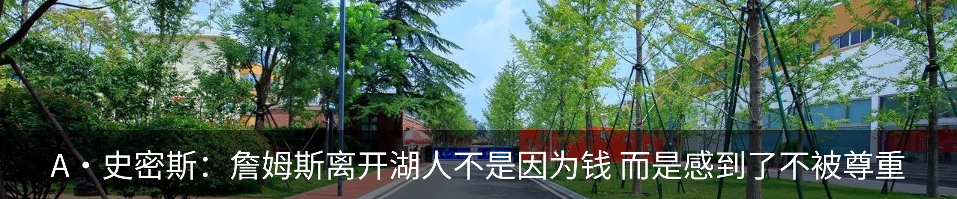 新闻动态