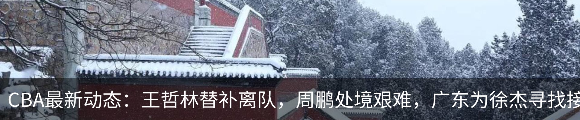 新闻动态